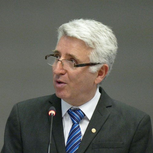 Portrait of Prof. dr. Tudorel Andrei